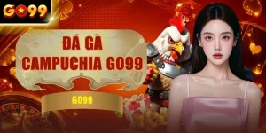 Đá Gà Campuchia GO99 Cập Nhật Lịch Trình 2026 Và Đón Xem